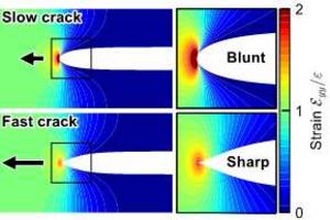 Changes in crack tip shape and strain distribution with crack propagation velocity