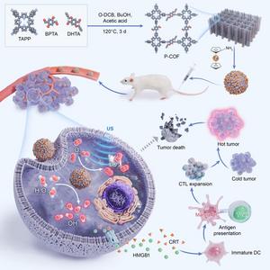 Schematic showing the preparation of mCOFs and their role in tumor growth inhibition.