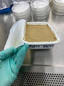 Lentil hummus MATS