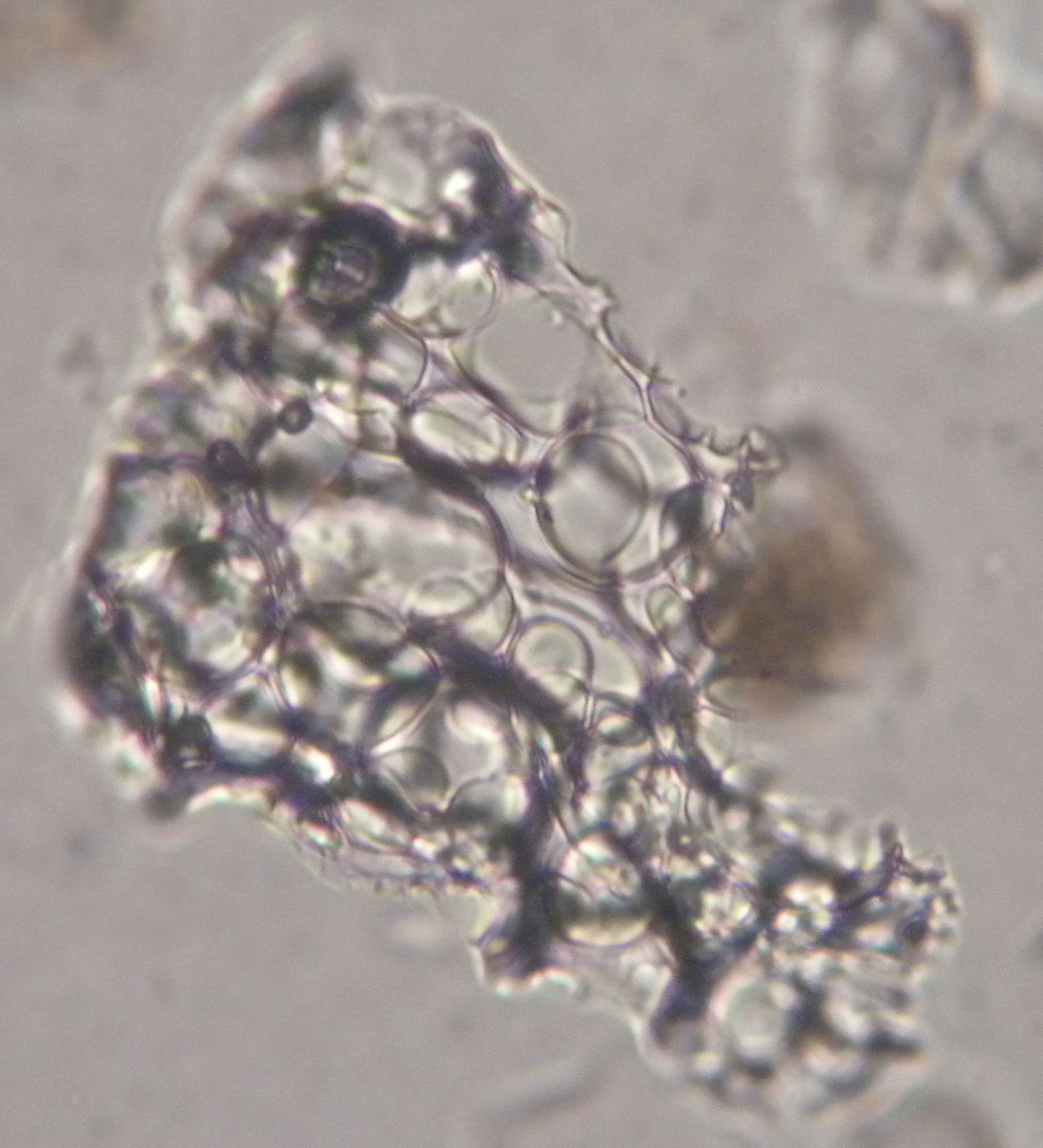 Volcanic Ash Shard 2