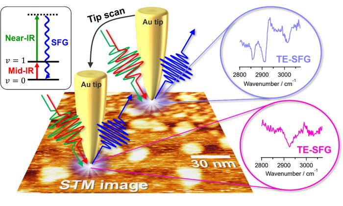 The schematic illustration of tip-enhanced SFG (TE-SFG) measurements of an inhomogeneous surface molecular system beyond the diffraction limit