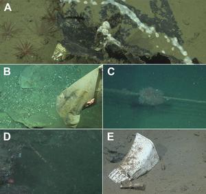 Out of sight, hidden into the deep: Marine litter in the Mar del Plata Submarine Canyon (southwestern Atlantic) revealed by ROV survey