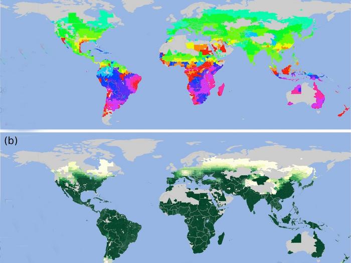 corn crops in nuclear winter