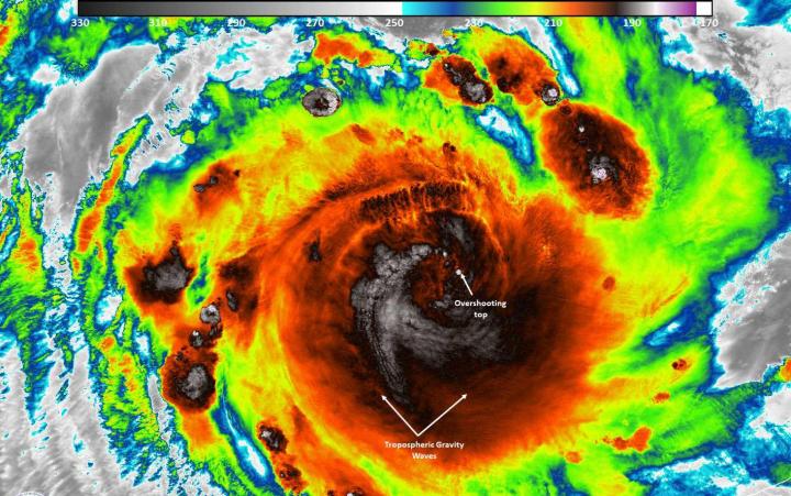 An Infrared Image of Tropical Cyclone Veronica