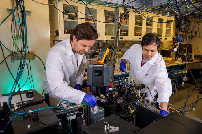 A fluorescent-protein spin qubit