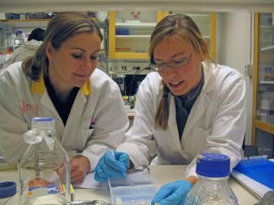 Karin Lindkvist and Maria Saline, University of Gothenburg