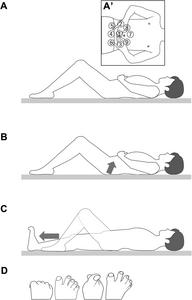 A supine exercise program linking trunk stability with lower extremity coordination is associated with improved body balance and agility: A study using randomized crossover and pre-post trial designs