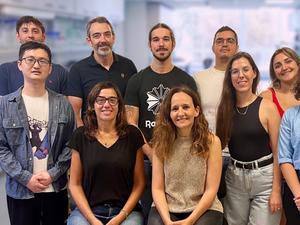 Researchers from Miguel Hernández University of Elche (UMH) in Spain have identified an effective strategy to reduce structural liver damage and improve hepatic vascular function in cirrhosis