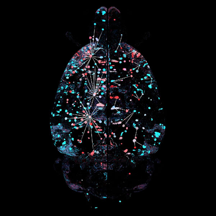 Artistic Rendering of Brain Activity