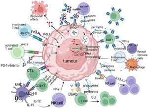 Schematic of the distinct mechanisms of five classes of immunotherapeutic drugs: programmed death-1/programmed death-ligand 1 (PD-1/PD-L1) inhibitors specifically bind to PD-1 or PD-L1, blocking their interaction