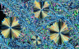 New crystal form of imidacloprid insecticide