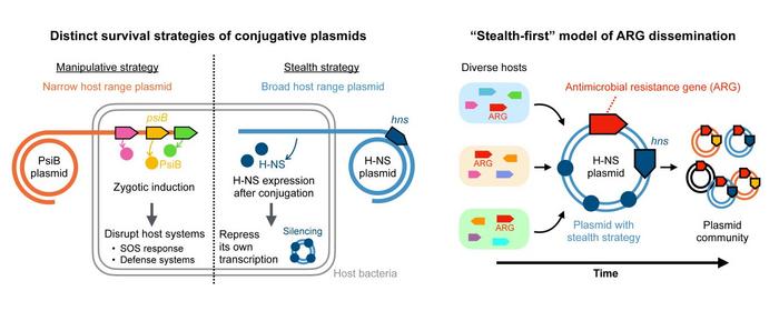 Bacterial plasmid strategies