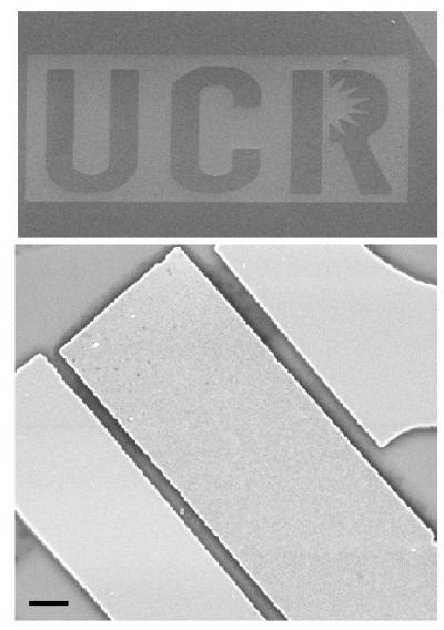 Graphene Device