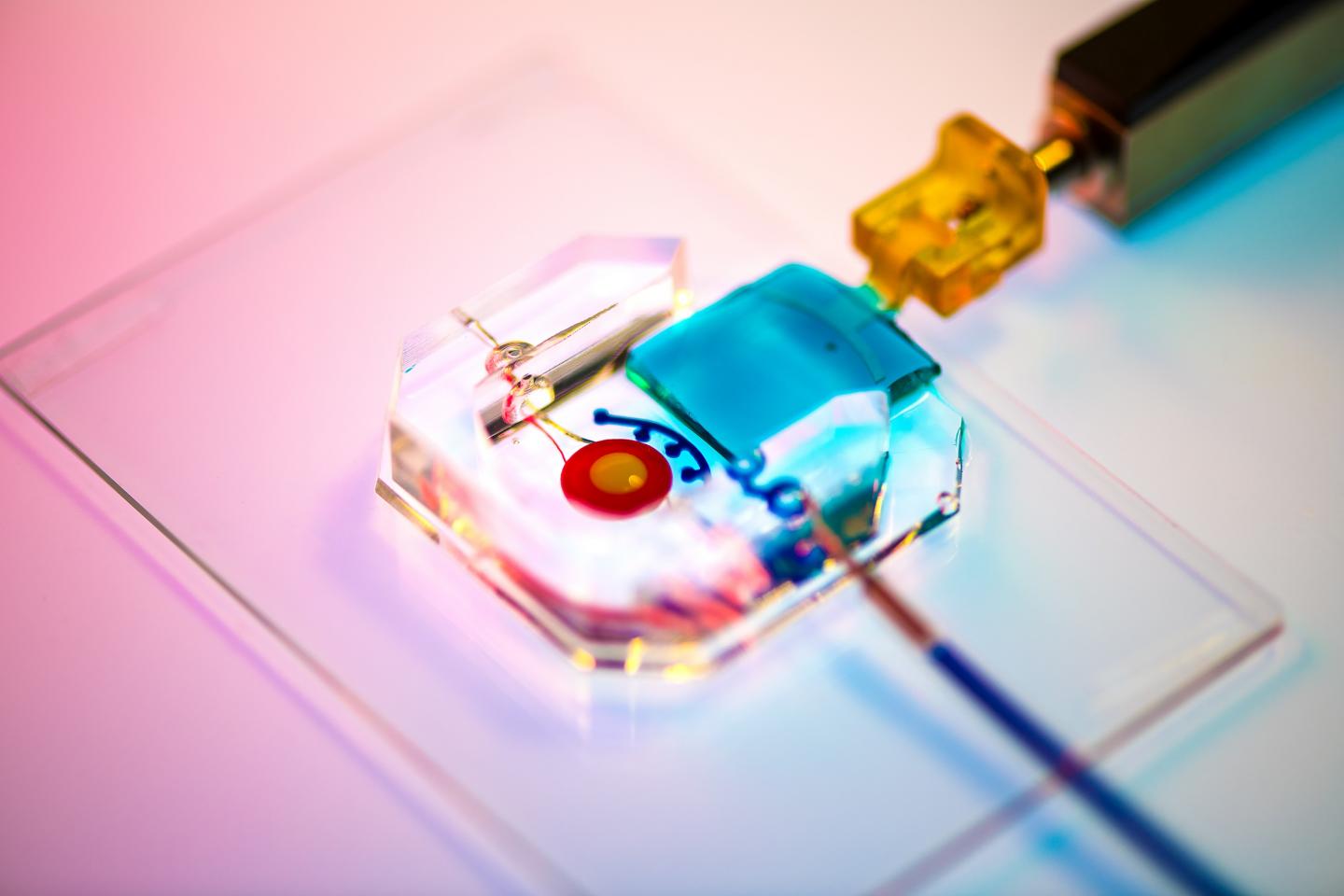 Eye-on-a-Chip Detail