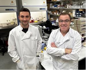 Scientists discover how cancers evade chemotherapy by entering ...