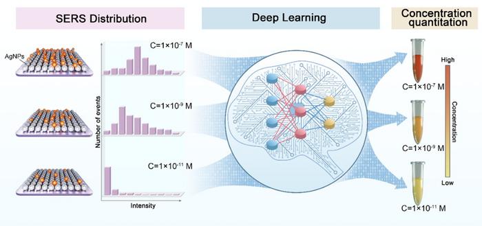 Concentration-Encoded SERS Distributions for Deep-Learning-Assisted Quantitation