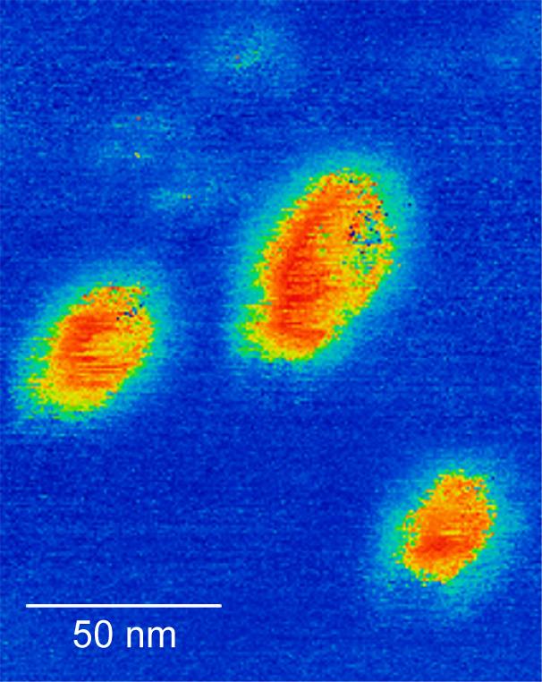 Ferroelectric Domains