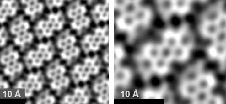 Self-Organized Molecular Network