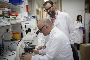 Adrian Liston and James Dooley in the lab