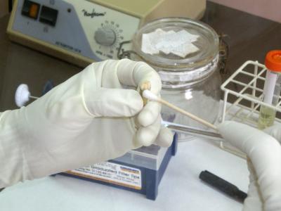 Aboriginal Dental Sample