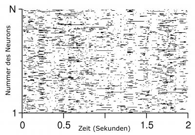 Activity Pattern