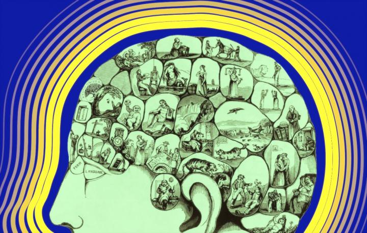 Decoding What You See and Imagine