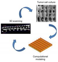 3-D Printed Scaffold