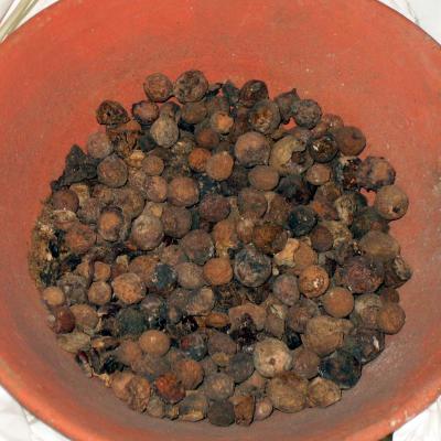 Nailing Down Ancient Egypt's Chronology (6 of 6)