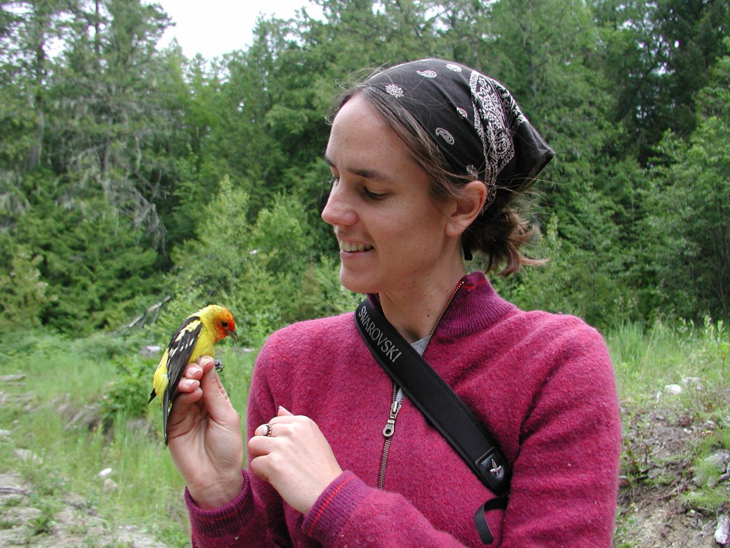 How Genes Will Save or Fail Birds in the Face of Climate Change (3 of 6)