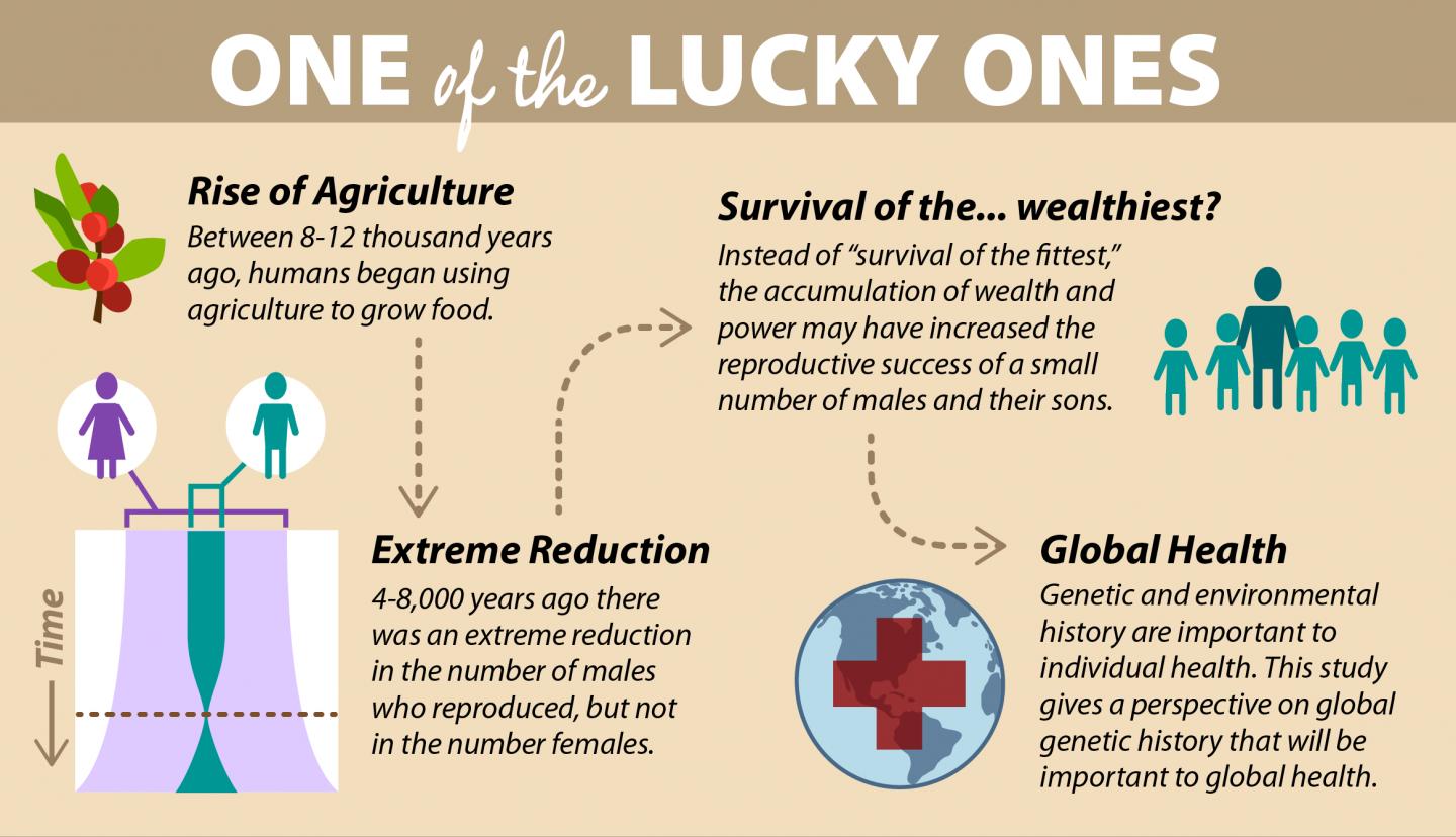 Mini-Infographic