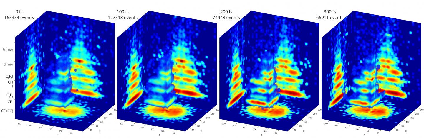 3-D images of Molecules in Action