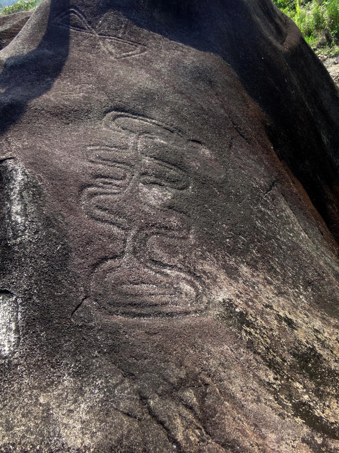 Plant Dominance in the Amazon Is Shaped by Past Civilizations (15 of 15)
