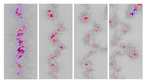 Vortices observed growing larger