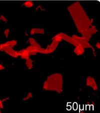 Nanosheets