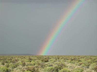 Beauty and Biodiversity