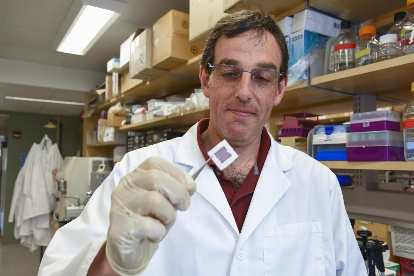 WPI Professor George Pins with Heart Patch