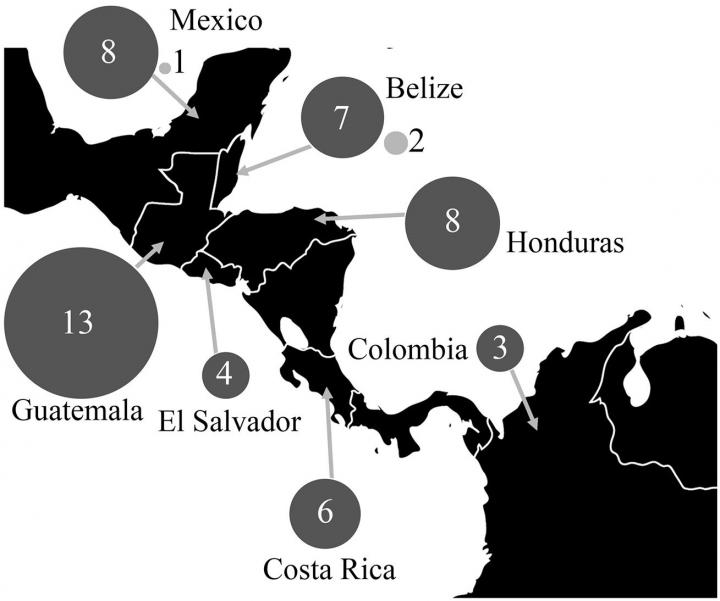 Central America "Kissing Bug" Carries Two Main Subtypes of Chagas Disease Parasite