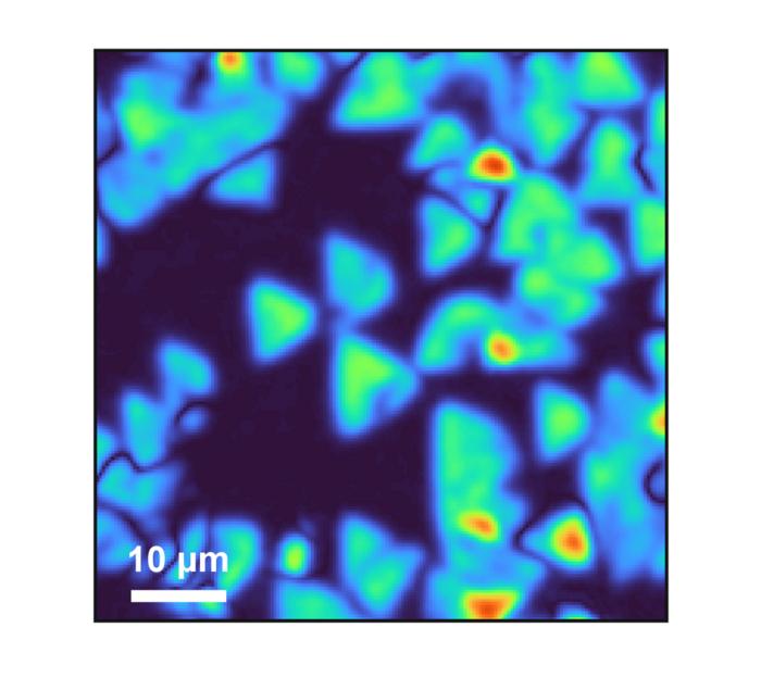 SFG microscopy image of boron nitride monolayer flakes.