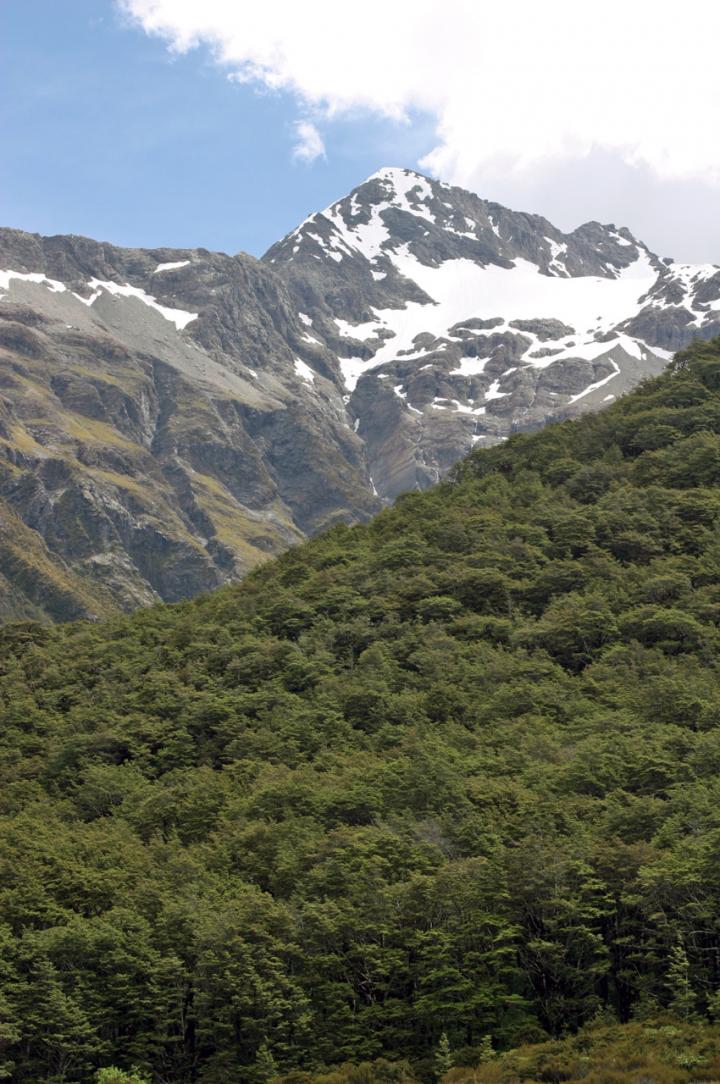 Glacier