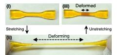 Double-Network Hydrogel Stretching
