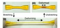 Double-Network Hydrogel Stretching