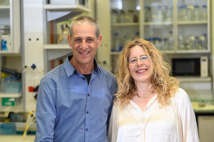 Yossi Paltiel and Michal Sharon