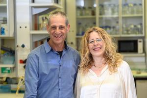 Yossi Paltiel and Michal Sharon