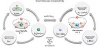 Graphic Intermolecular Cooperativity