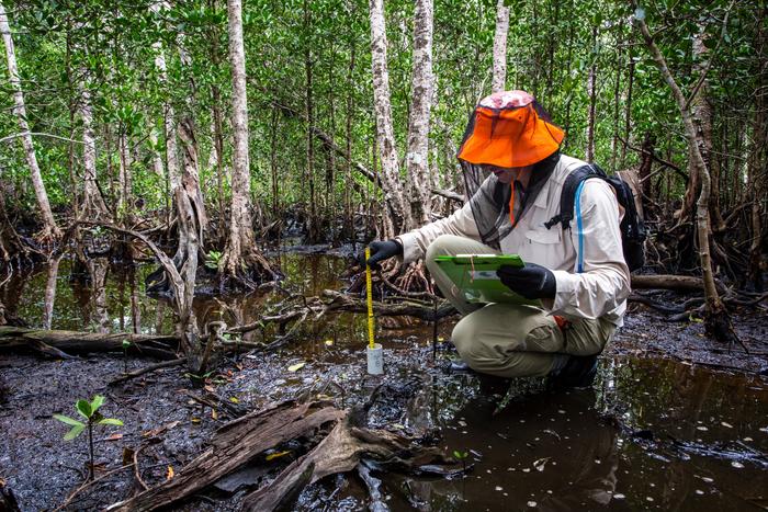 Taking sediment core samples