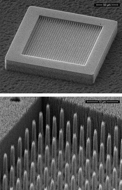 New Player in Electron Field Emitter Technology Makes for Better Imaging and Communications