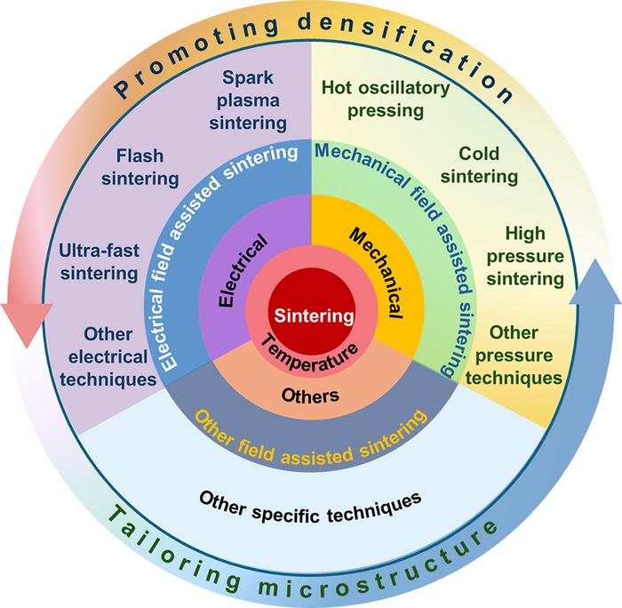 Schematic diagram of multi-field coupled sintering