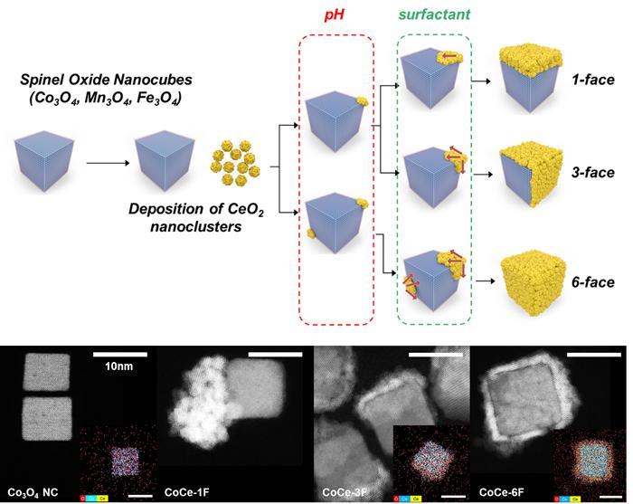 Synthesis and characterization of the Co3O4-CeO2 NCs.