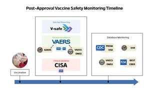 Post-approval vaccine safety monitoring timeline