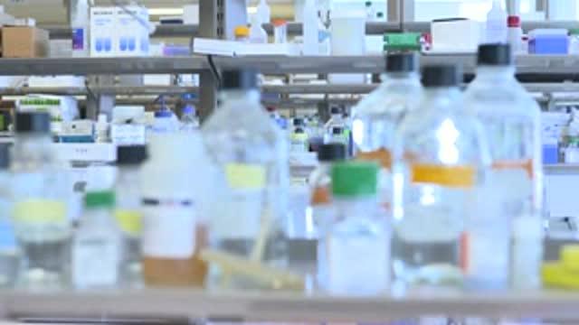 Science That Takes Risks: Biomedical Researchers Receive Pew Awards